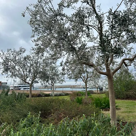 Segelboot Cala Del Forte 船屋 文蒂米利亚